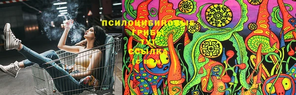 apvp Касимов