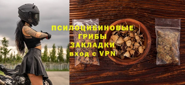 apvp Касимов