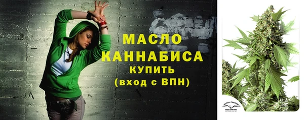 молекула духа Каменногорск