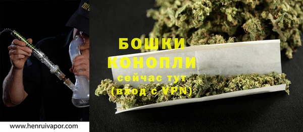 молекула духа Каменногорск