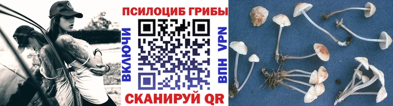 Псилоцибиновые грибы мицелий  Купить где  Назарово 